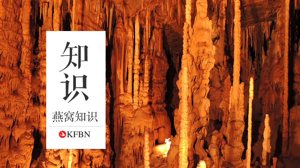 什么是洞燕？什么是屋燕？
