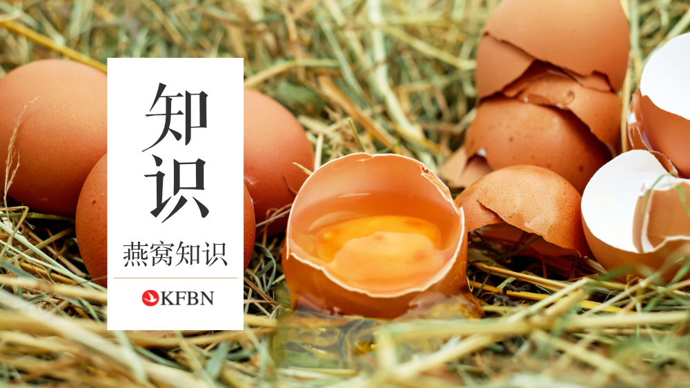 燕窝VS鸡蛋：营养界的“巅峰对决”